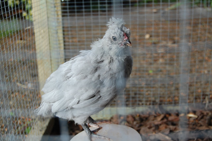 DSC_0555.JPG