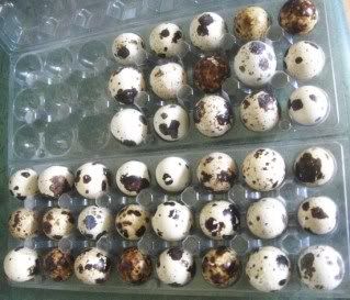 QUAILEGGS.jpg
