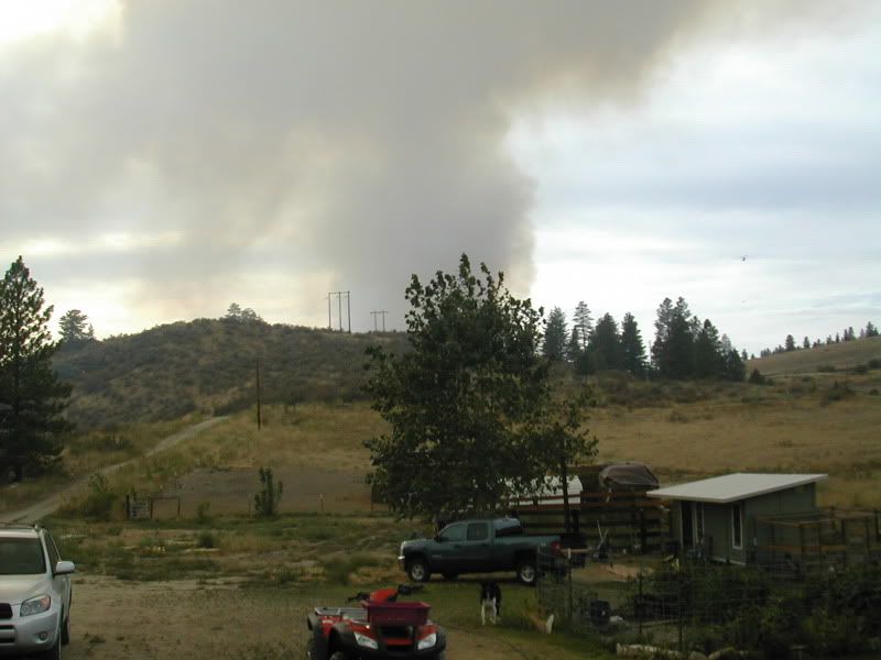 DSCN3449.jpg