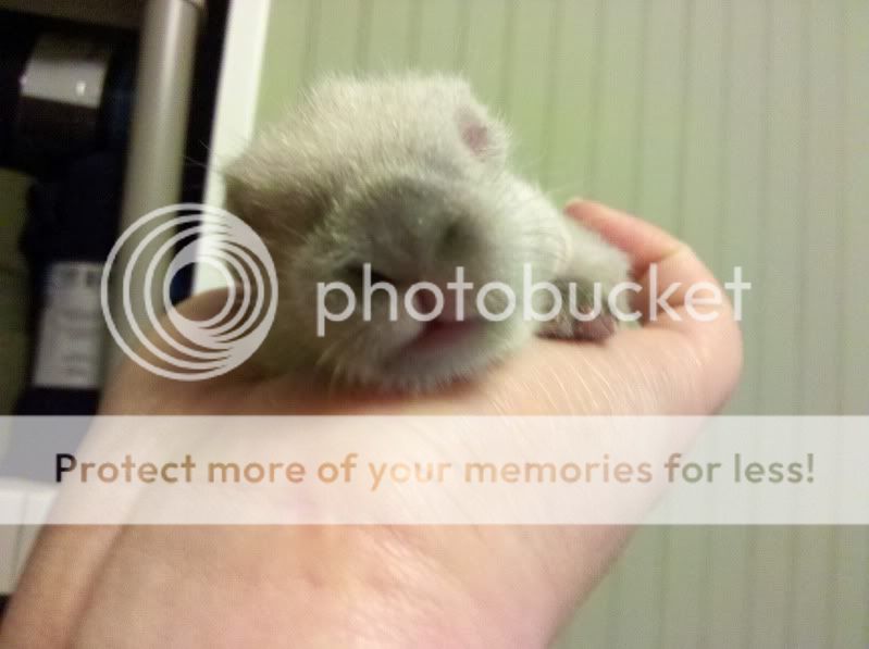2011-07-15_19-55-57_300.jpg