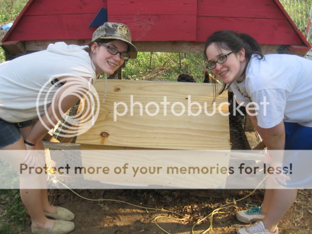 nestingbox1163.jpg