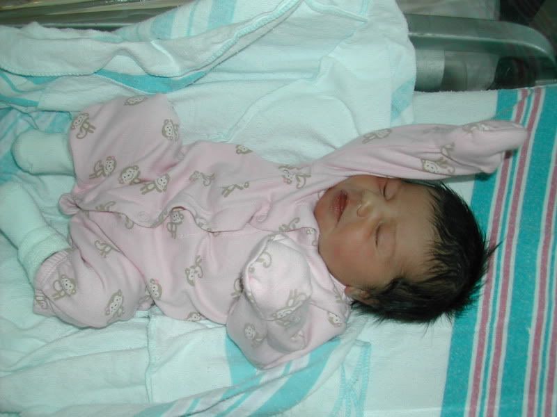 DSCN5512.jpg