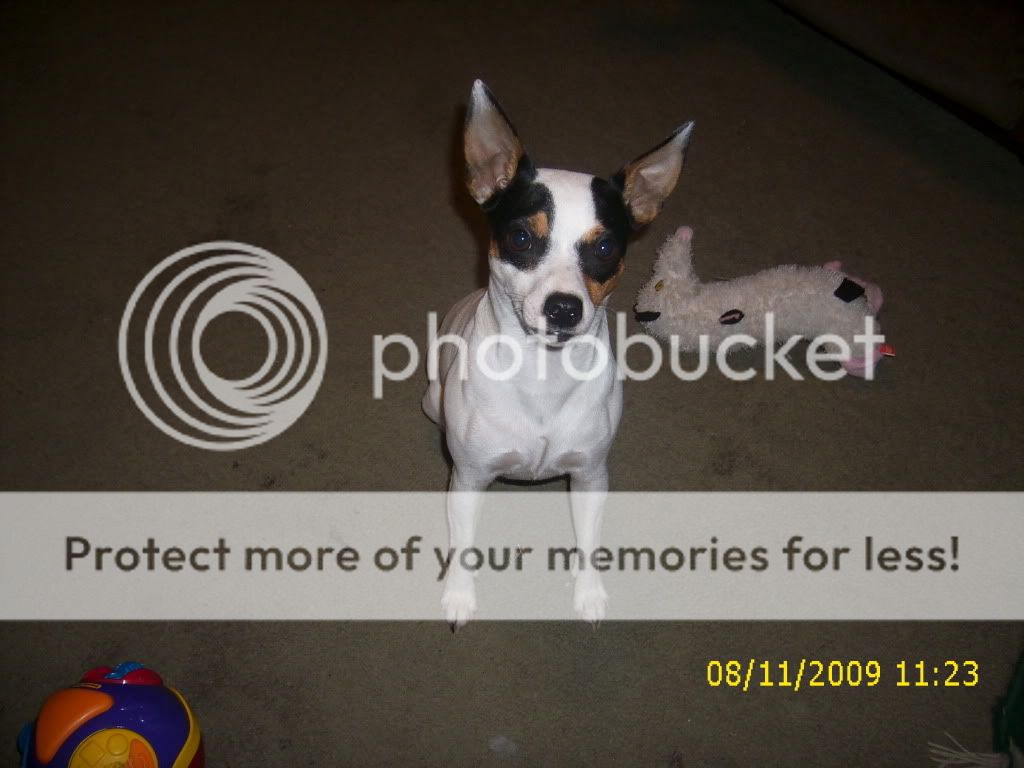 Picture007.jpg