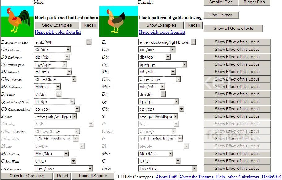 DiluteSample2.jpg