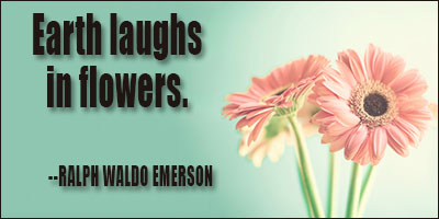 flowers_quote_3.jpg