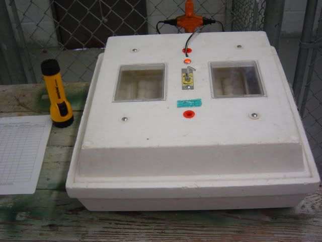 DSC03472.jpg