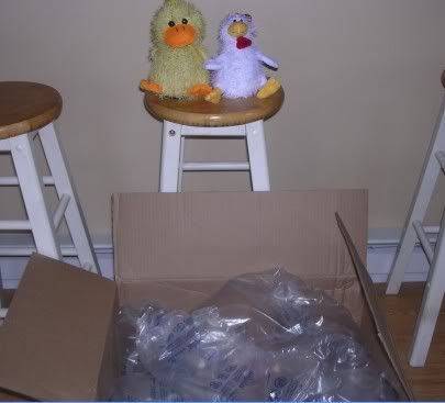 Box1.jpg