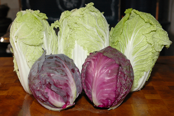 cabbage.jpg