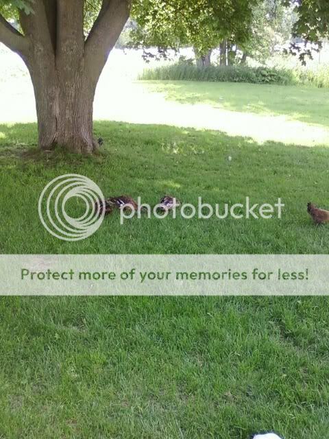 img1246007933821.jpg