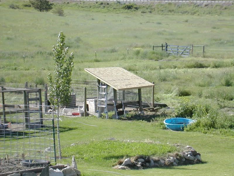 DSCN4430.jpg