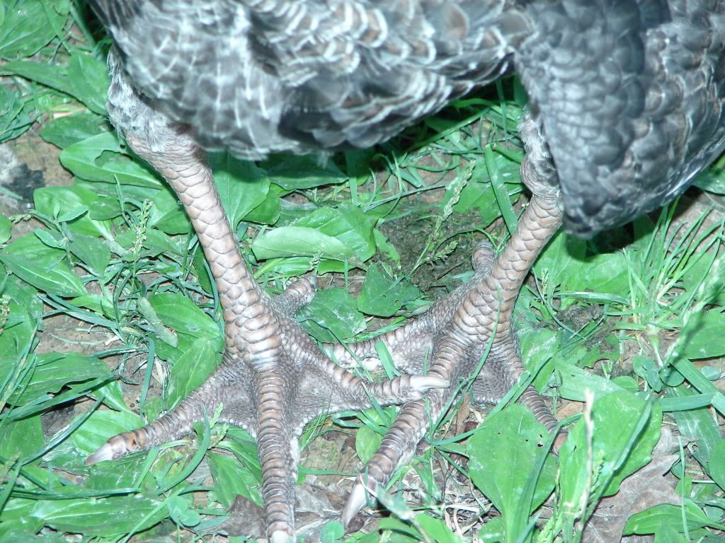 DSC09691.jpg