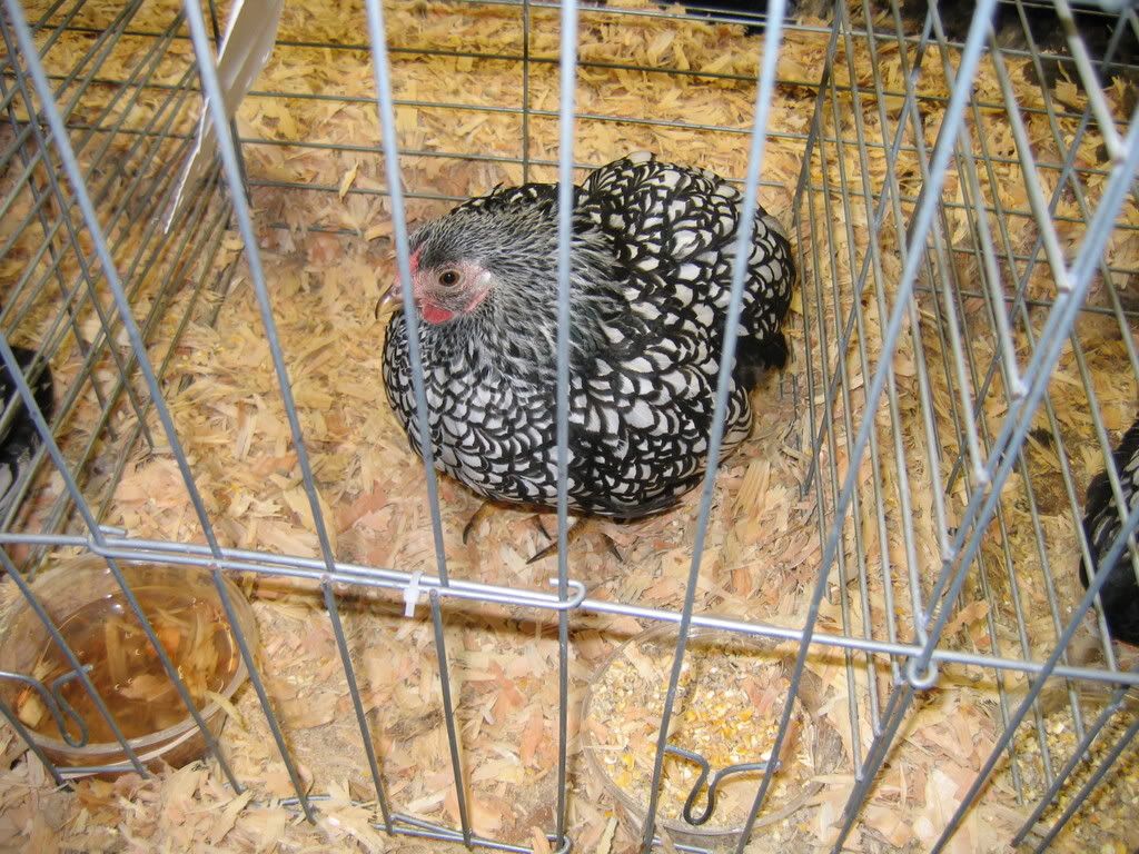 IMG_1074.jpg