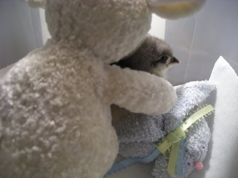 DSCN1125.jpg