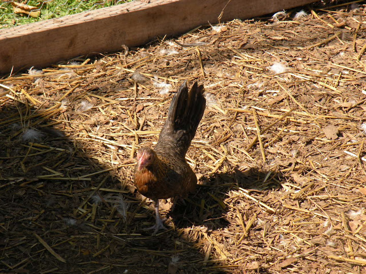 DSCN0637.jpg