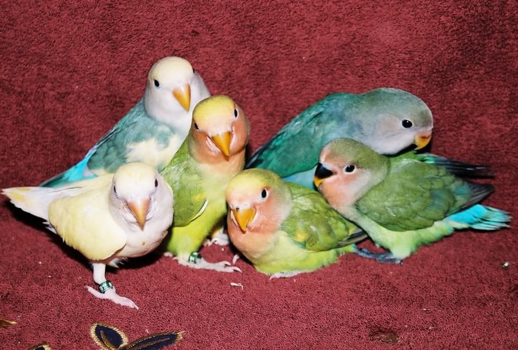 200501-29GroupShot.jpg