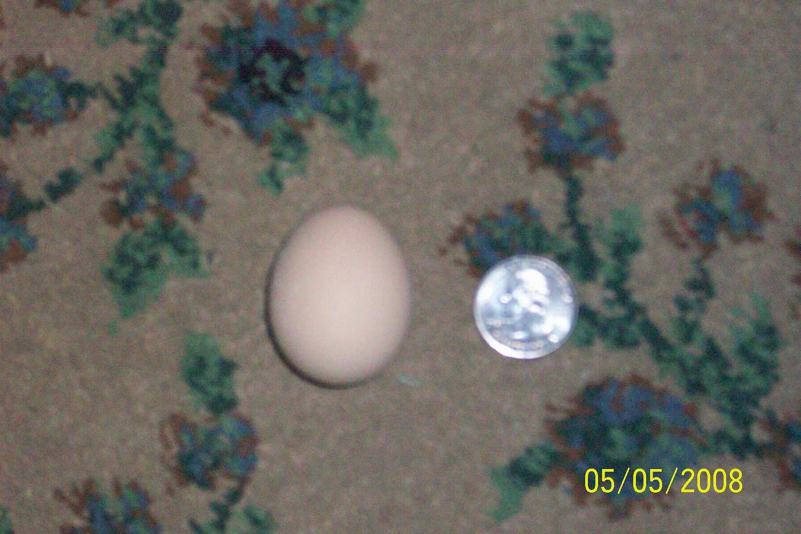 Mosfirstegg008.jpg