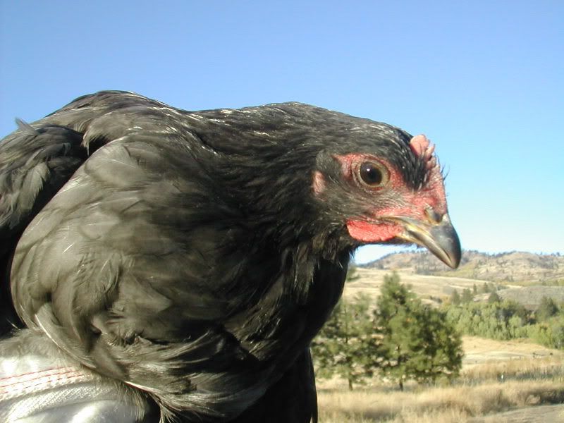 DSCN2879.jpg