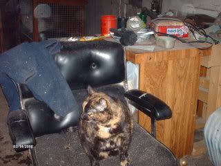 Picture086-2.jpg