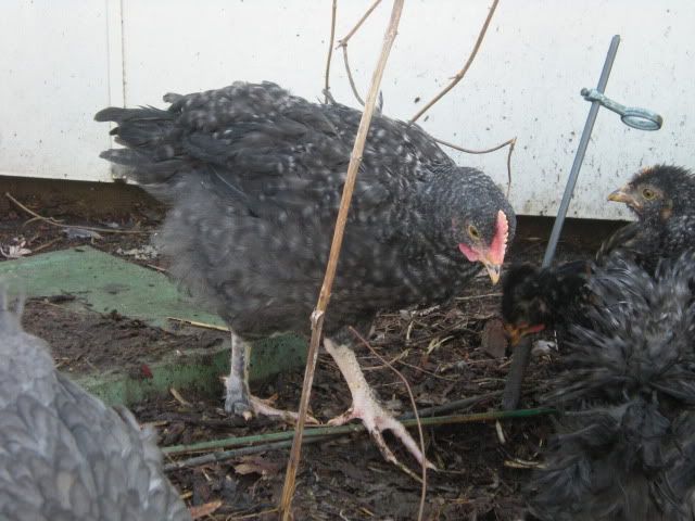DSCN1860.jpg