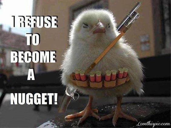I-Refuse-To-Become-A-Nugget-Funny-Chickenn-Meme-Picture.jpg