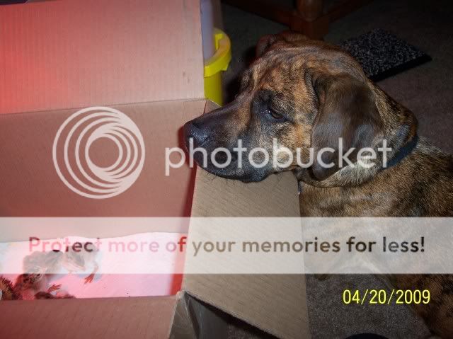 002-9.jpg