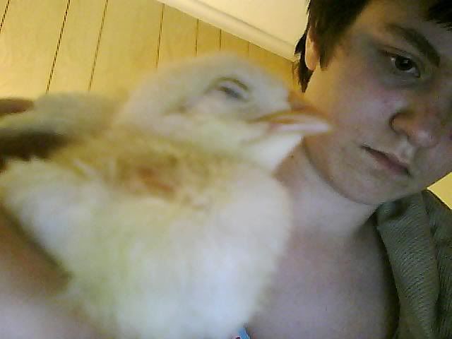 Picture0100.jpg