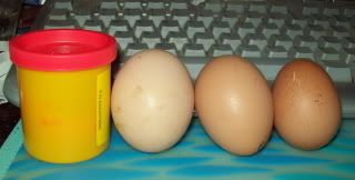 eggs-1.jpg