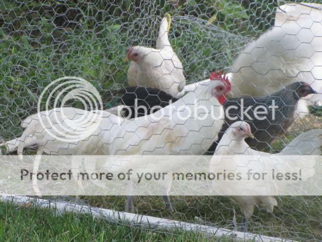 IMG_0075.jpg