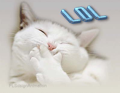 kittyLaughAnimationPLSdesignsAnimationLOL.gif