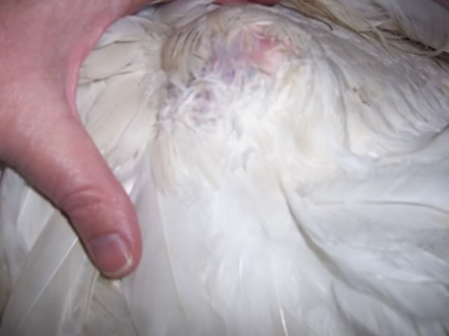 100_5063.jpg