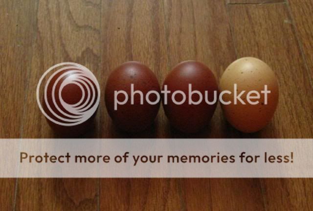 fbcmmaraneggs1.jpg