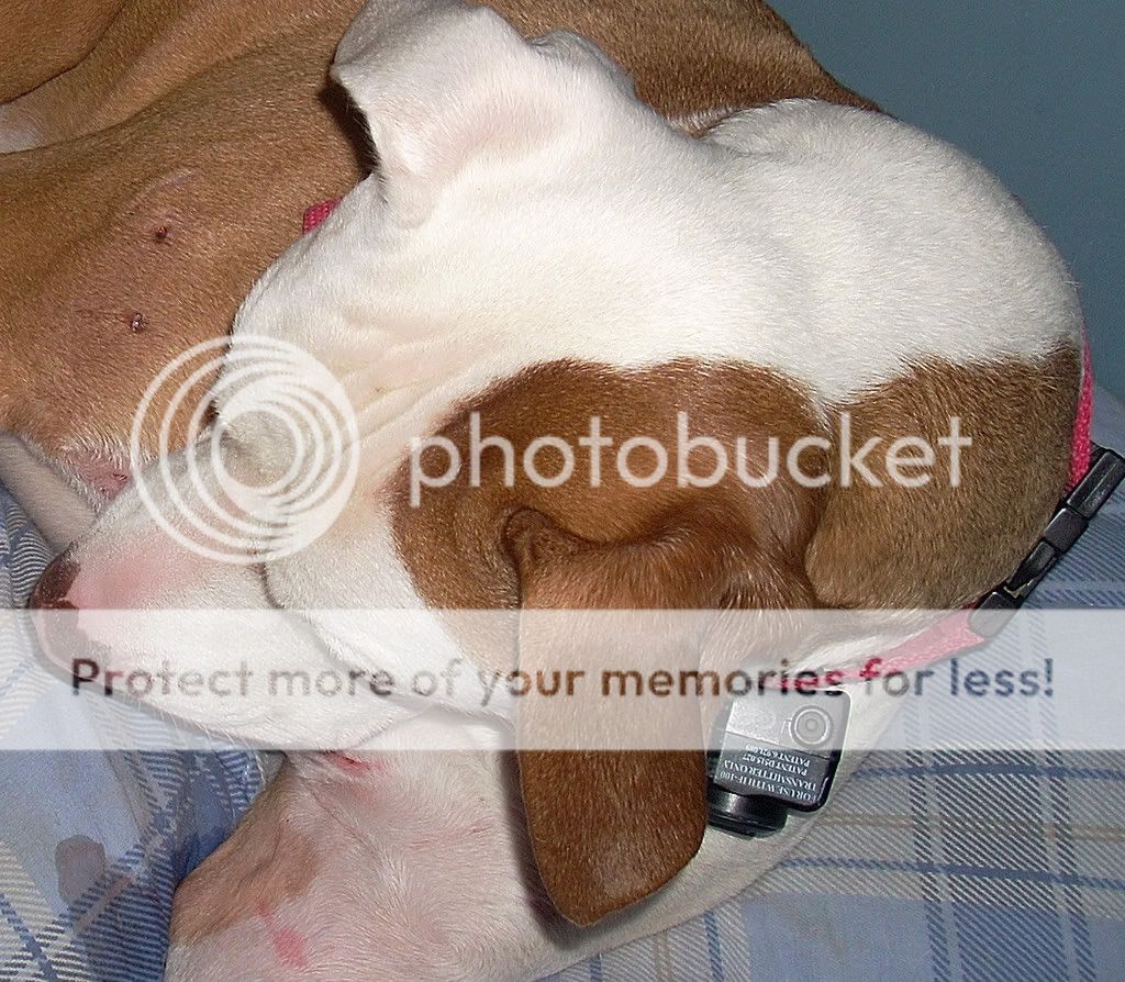 DSCN1761.jpg
