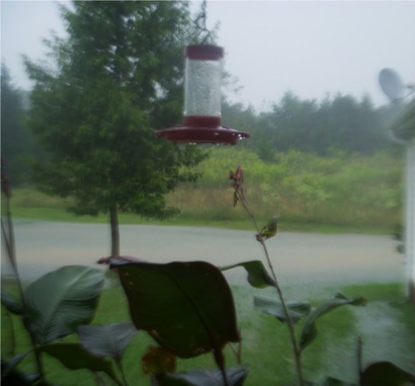 DSCN3782-1.jpg