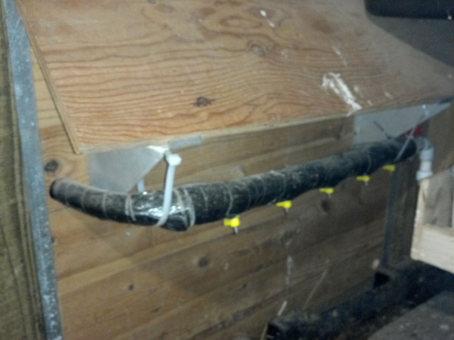 500x1000px-LL-c5c99102_2012-10-04_15-27-20_71.jpeg