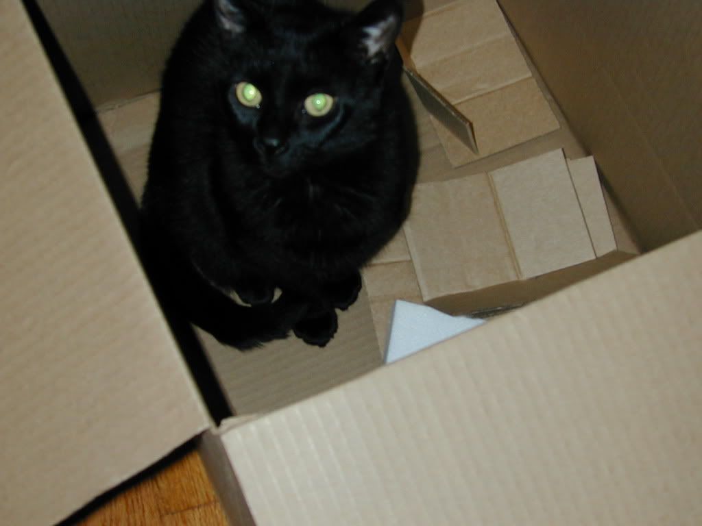 DSCN4436.jpg