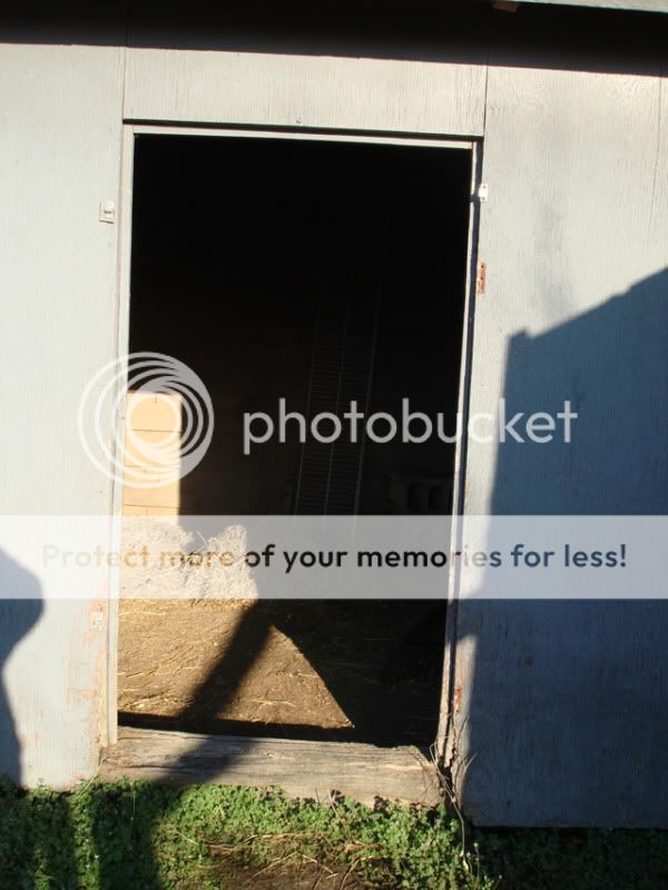 door.jpg