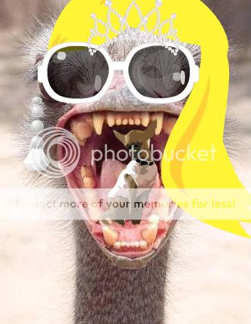 ostrich_head-1.jpg