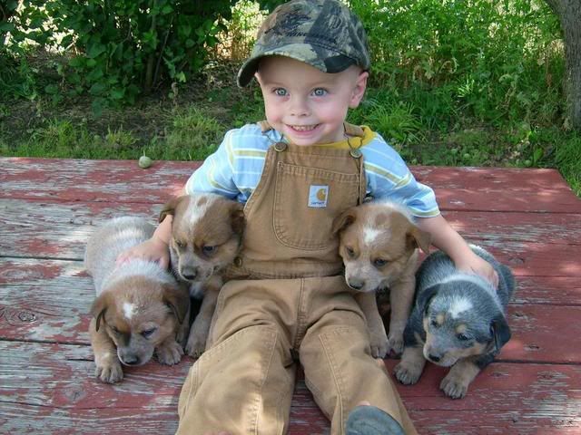 Anthonyandpuppies.jpg