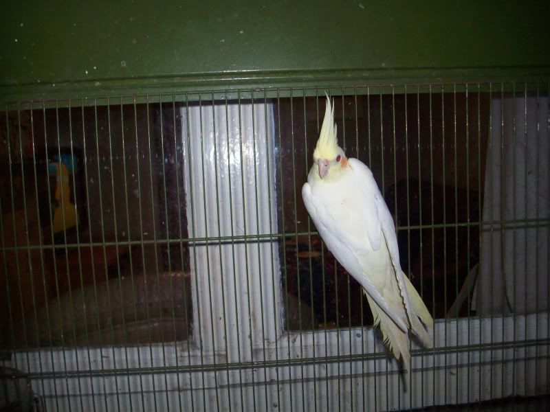 100_9045.jpg