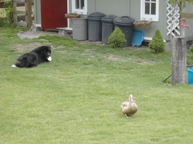 DSCN4438.jpg