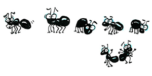 ants.jpg