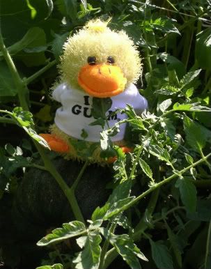 Garden6.jpg