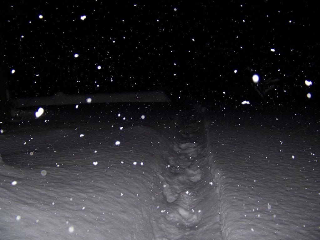 100_2060.jpg