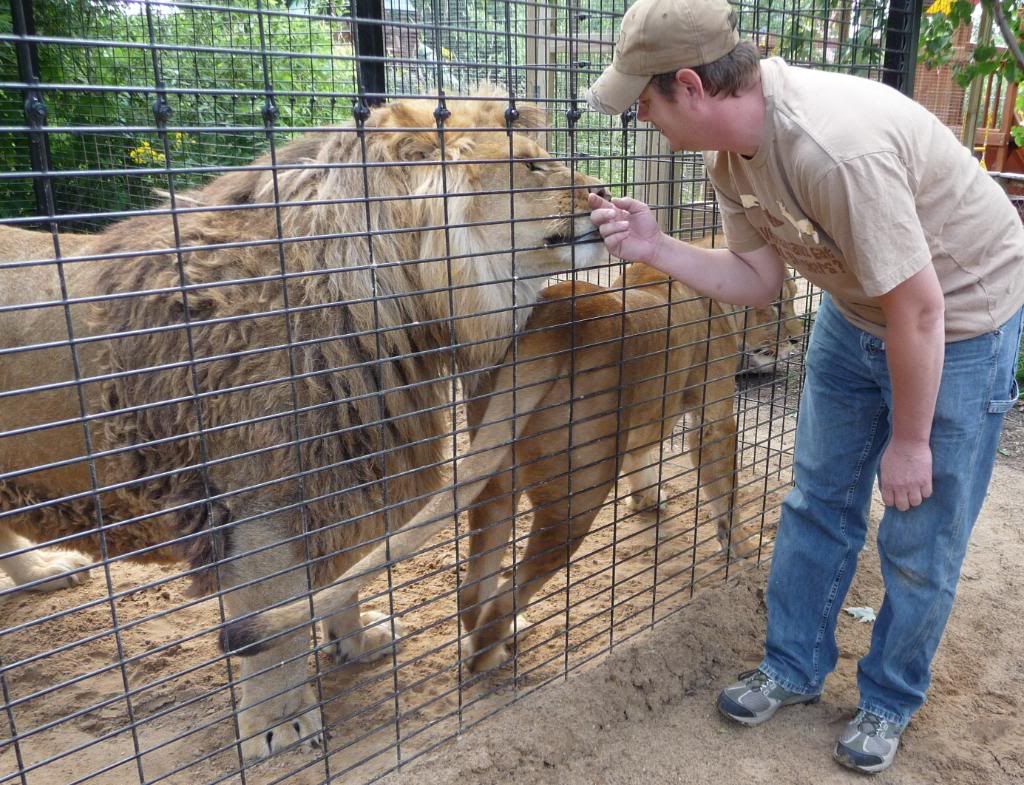 randylions.jpg