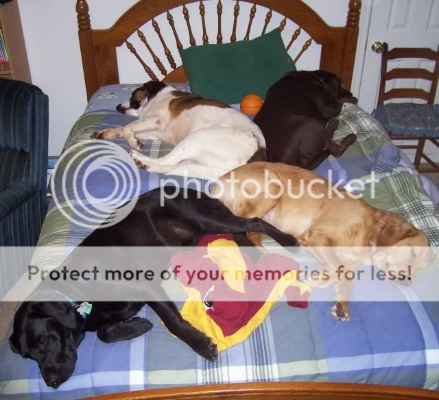 Bed_Full.jpg