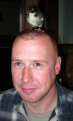 2413598124_1557f63a3c_o.jpg