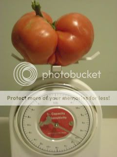 DSCN5544-1.jpg