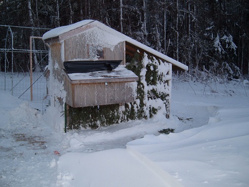 Winter%20Coop%20Mess%20Front.JPG