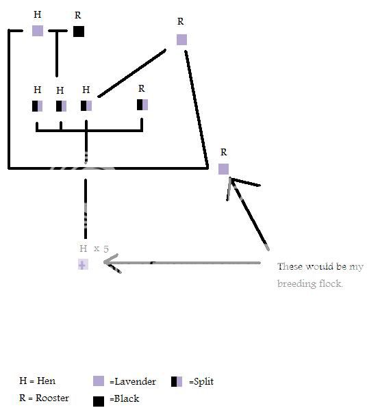 Breedingchart.jpg