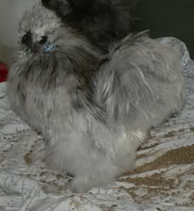 oct22010.jpg